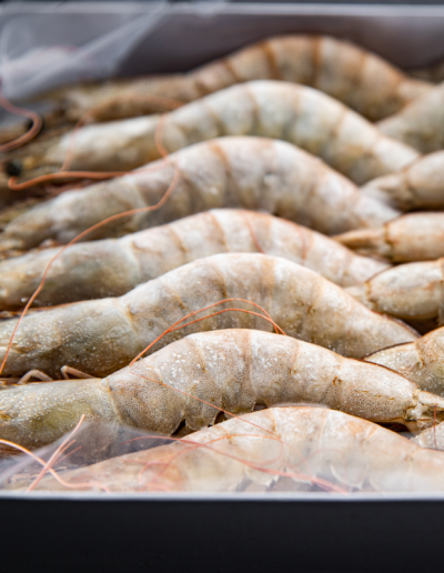 Frozen Prawns